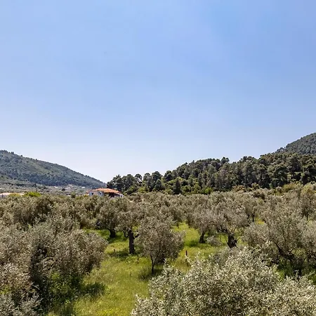 Estia A - & Lejlighed *